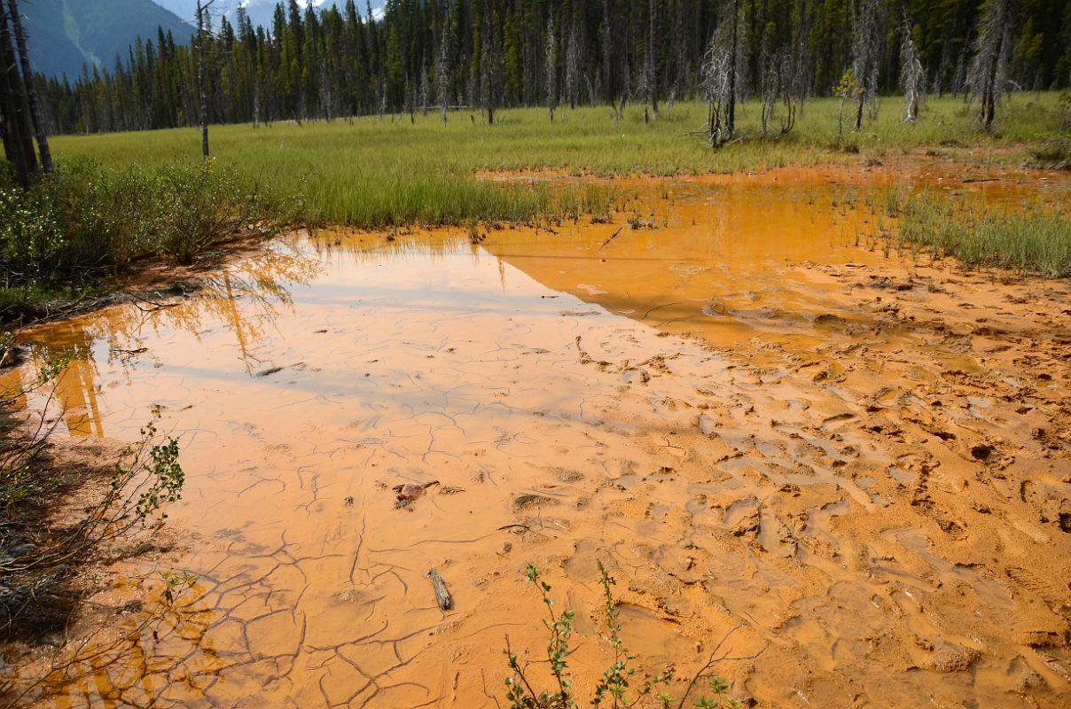 02 Paint Pots Off Kootenay Banff Windermere Highway 93